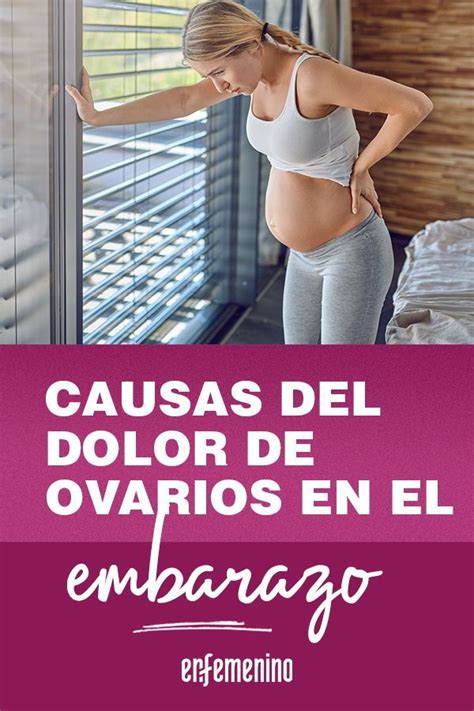 dolor empeine embarazo|dolores de ovarios pregnancy.